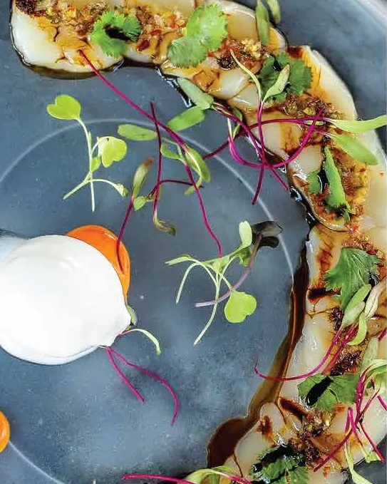 Scallop carpaccio arranged in an arc on a blue-grey plate with micro-greens, soy glaze and a scoop of sorbet